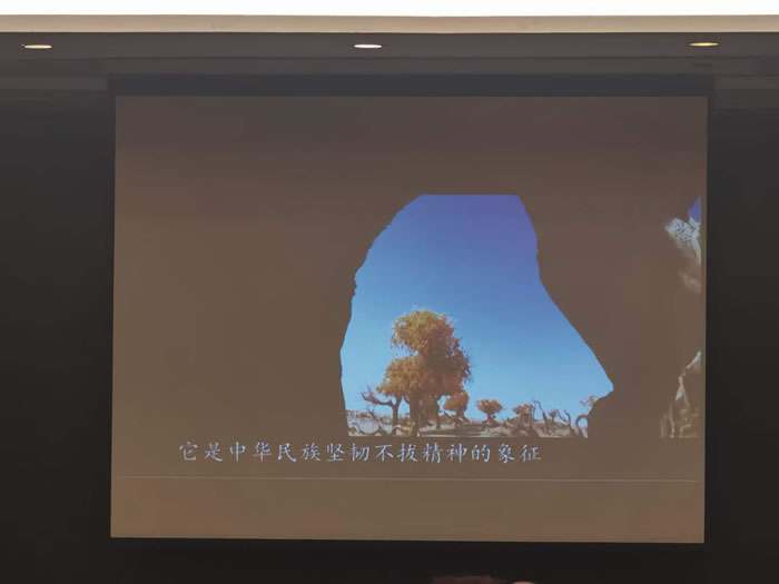 綿陽中旅行假日旅行社舉行胡楊林、南疆專列推薦會